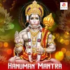 Om Hanu Hanumate Namo Namah